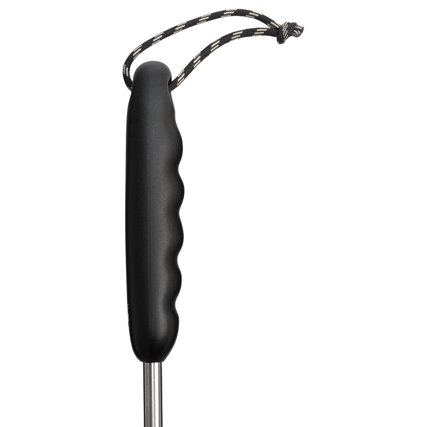 Classic Cleaning Brush